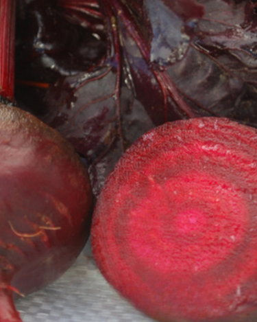 Bull's Blood Beet Seeds